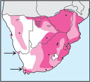 Newman's Birds -White-faced Whistling Duck- Distribution