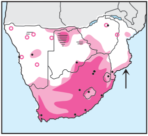 Newman's Birds - Yellow-billed Duck - Distribution