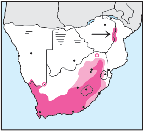 Newman's Birds - Malachite Sunbird - Distribution Map