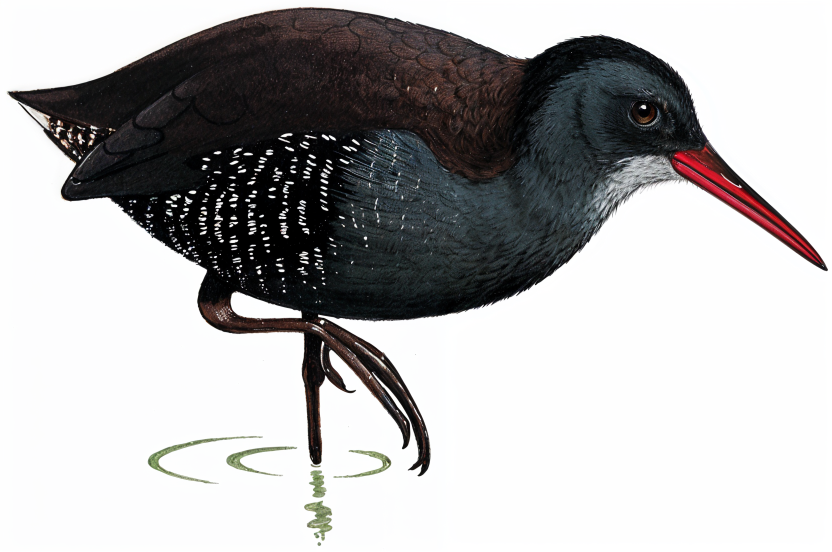 African Rail AI