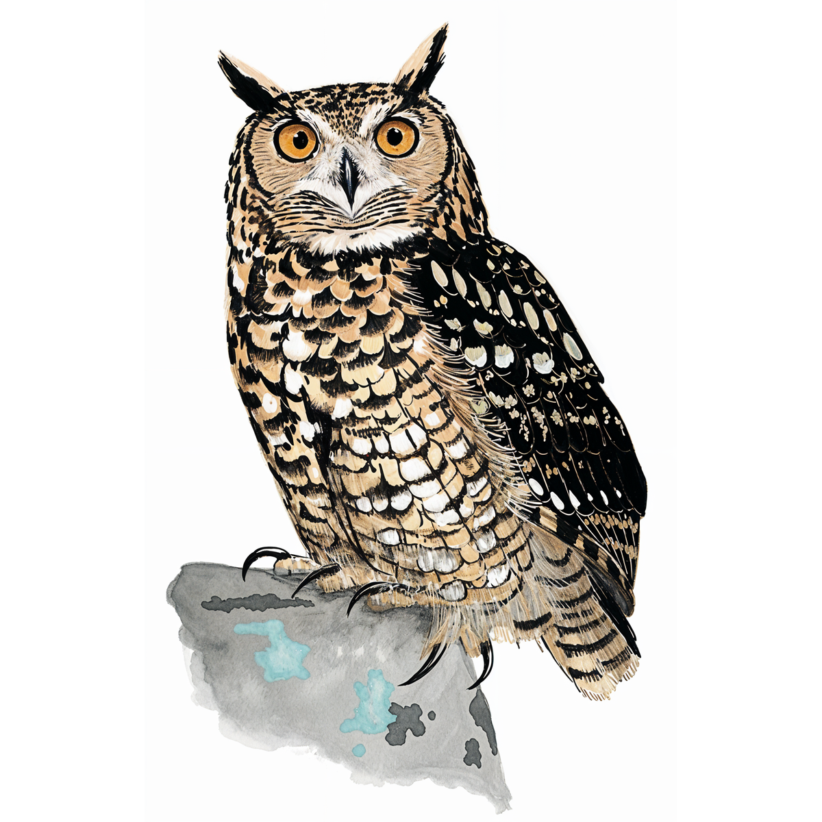 Cape Eagle Owl